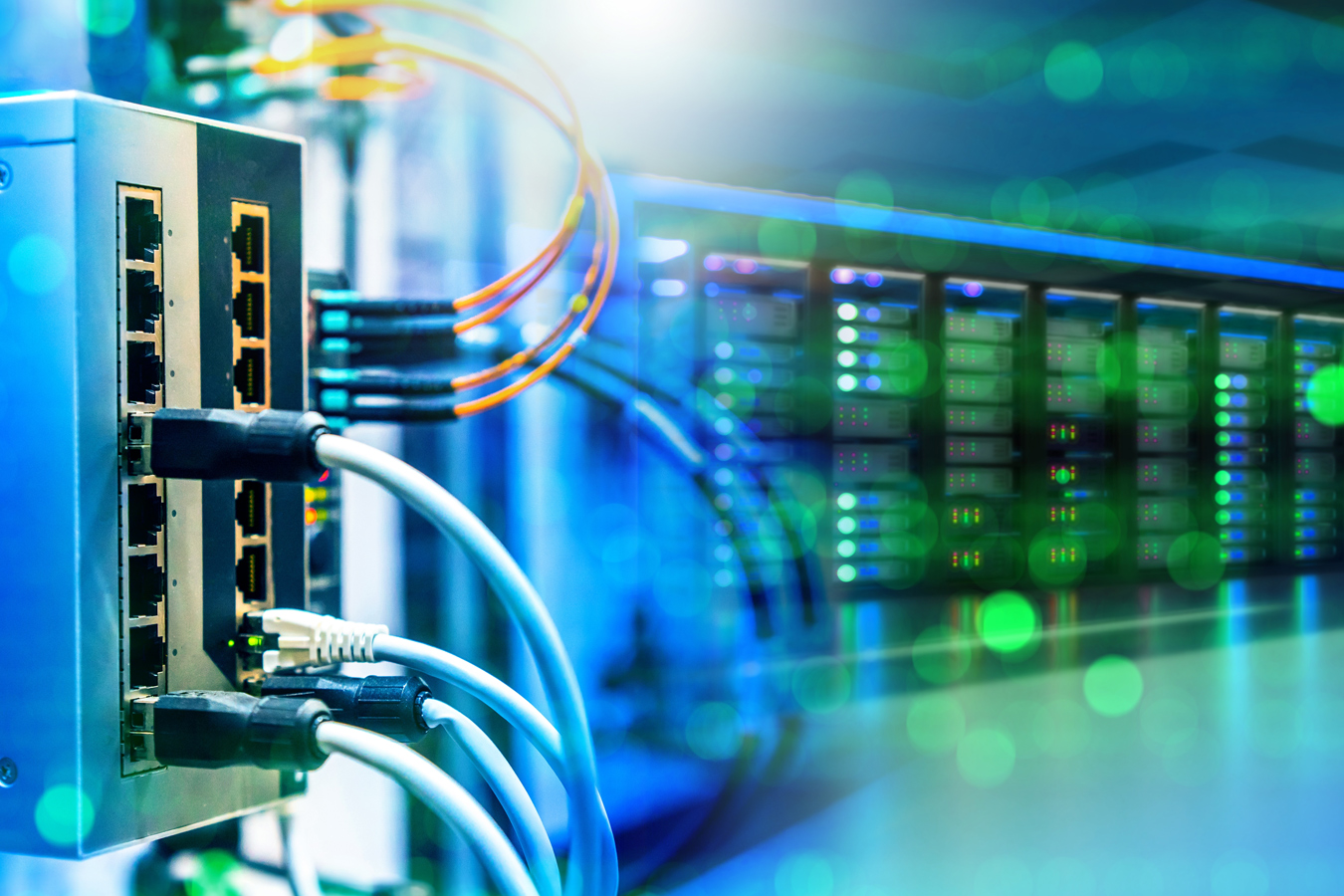 Network & Server